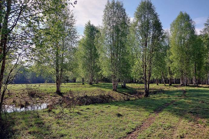 Gård/skog på Gällivare Skröven 14:1 Norrbotten Gällivare kommun - bild 2