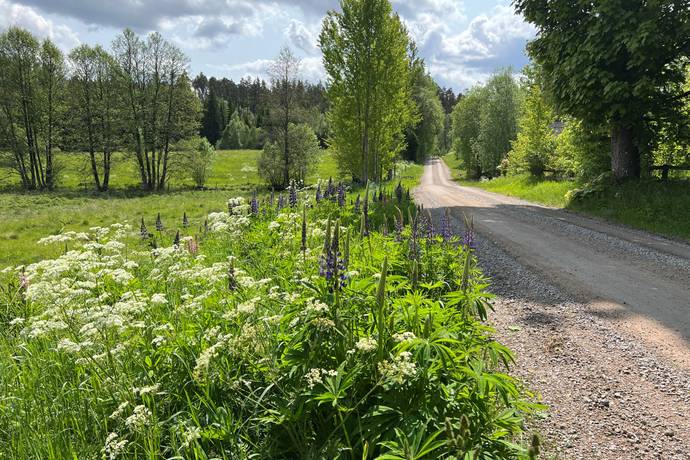 4 rum Gård/skog på Simonsryd 5 Vetlanda kommun - bild 12