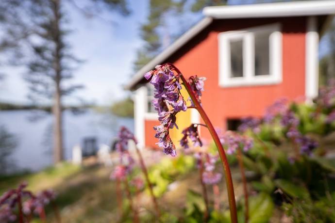 2 rum Fritidshus på Norra Grean Mörrenäset 18 Bengtsfors Bengtsfors kommun - bild 20