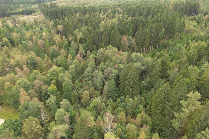 Gård/skog på HYLTE BRÄNNÖ 1:2 Hylte kommun - bild 5