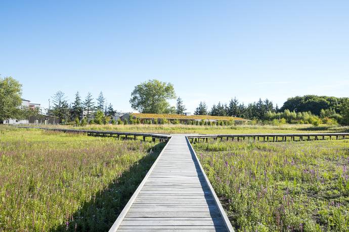 4 rum Lägenhet på Lönnebergagatan 31 Gyllins Trädgård Malmö kommun - bild 42