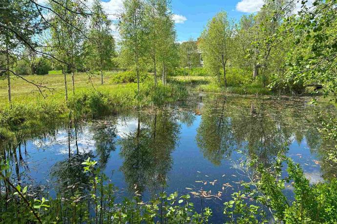 Gård utan jordbruk på Hällahester 1 Hällahester, Eksjö Eksjö kommun - bild 16
