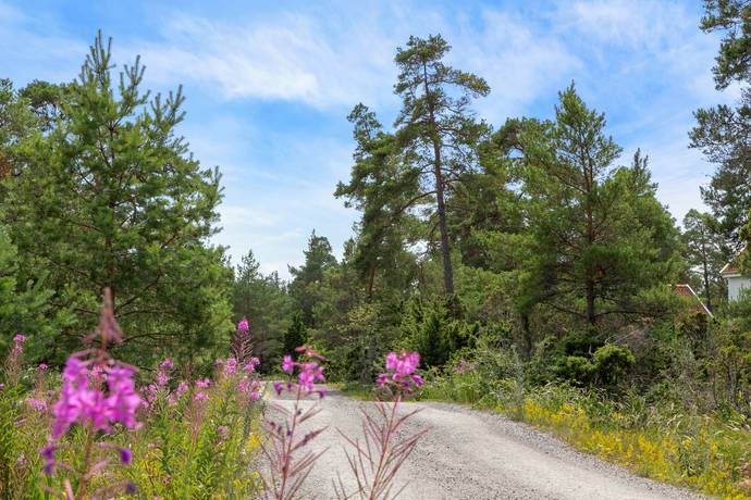 tomt på Ardre Alsarve 803F Ardre, Gotlands kommun - bild 3
