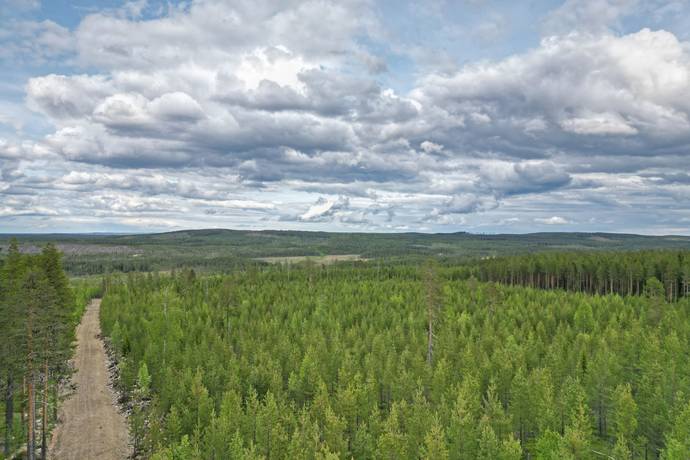 gård/skog på Hjuksnoret Vindeln, Vindelns kommun - bild 2