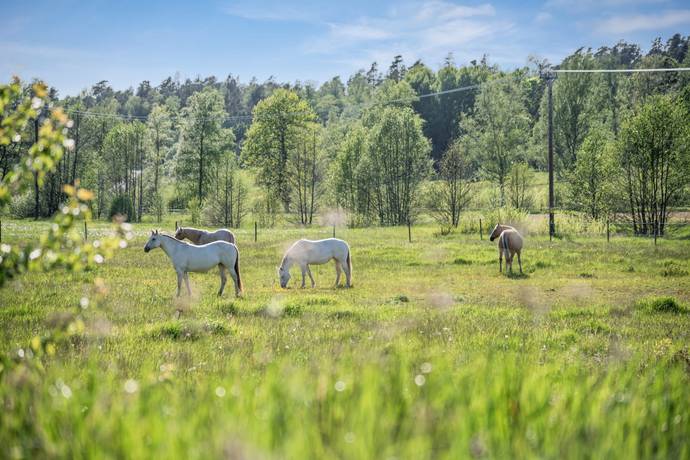 4 rum Parhus på Stora Lundbyvägen 24 Nynäshamns kommun - bild 35