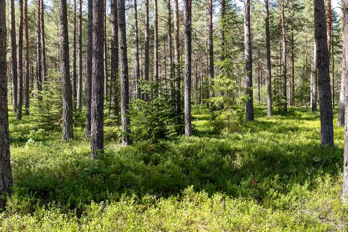 2 rum Fritidshus på Gäddesta småstugeområde 46 Örebro kommun - bild 23