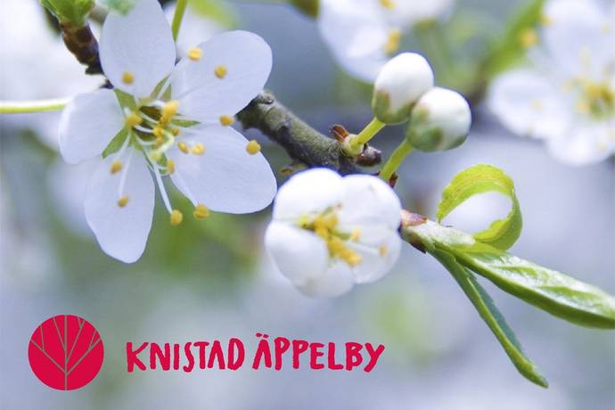 Knistad, Skövde kommun