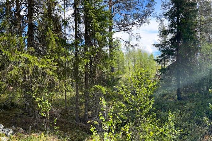 Tomt på Heavägen tomt 5:7 Särnaheden Älvdalens kommun - bild 11