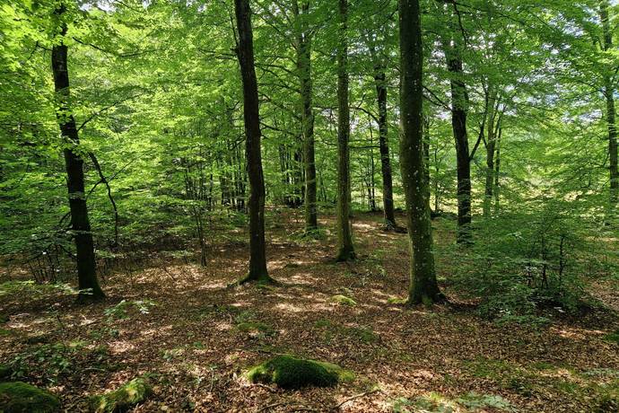 Gård med jordbruk på Trulshärad 8151 Önneköp Hörby kommun - bild 27