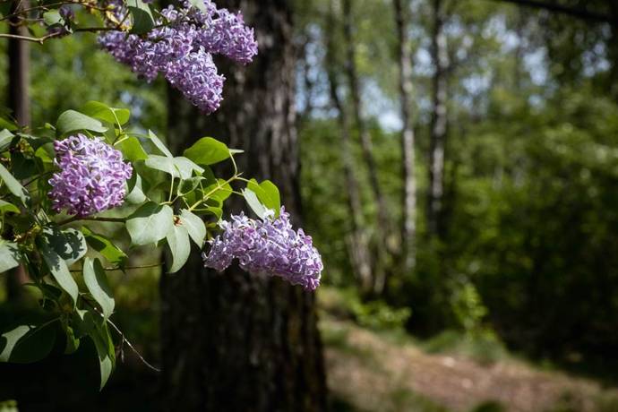 3 rum Fritidshus på Balltorpsvägen  Lott nr 63    i Balltorps Fritidsförening Balltorp Mölndals kommun - bild 11
