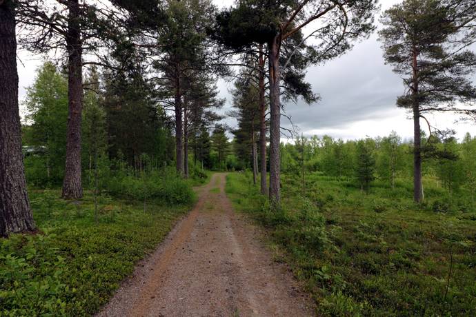 3 rum Gård med skogsbruk på Säivis byavägen 40 Säivis Haparanda kommun - bild 15