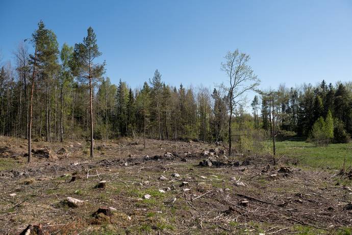 Tomt på Möllerstorp 101 Sala Sala kommun - bild 9