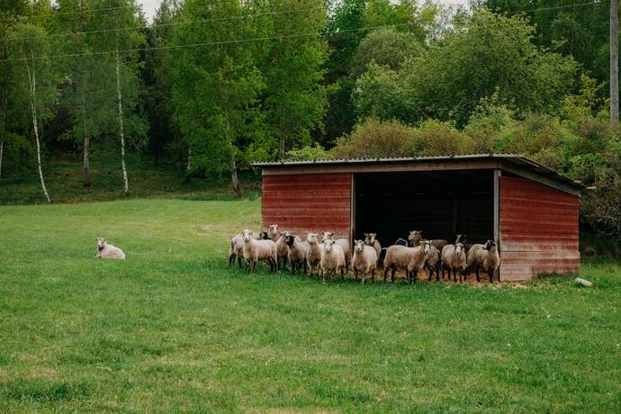 7 rum Villa på Östavägen 11 Stallarholmen Strängnäs kommun - bild 129
