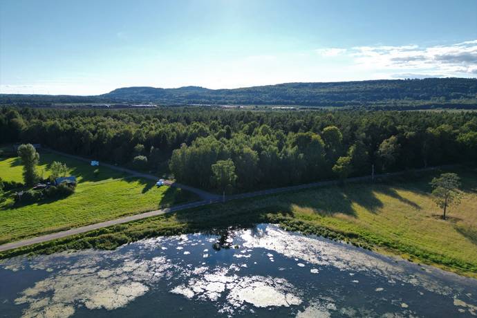  DESH G DAGSMOSSE 8 31 I Svanshals desh gs Kommun G rd skog Till 