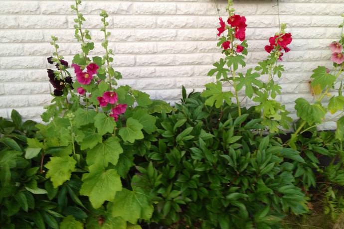 5 rum Vinterbonat fritidshus på Heestrand Rådalen 23 Heestrand Tanums kommun - bild 47