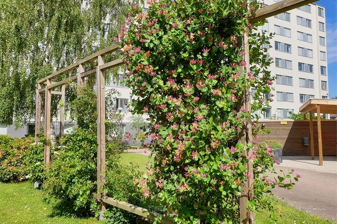 2 rum Lägenhet på Sockerbruksgatan 9B Centralt Ängelholms kommun - bild 16