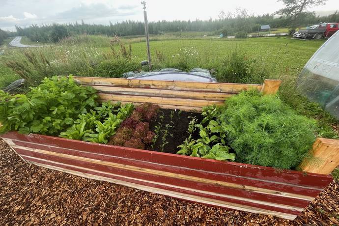 3 rum Gård/skog på Vallen 256 Kaxås Krokoms kommun - bild 36