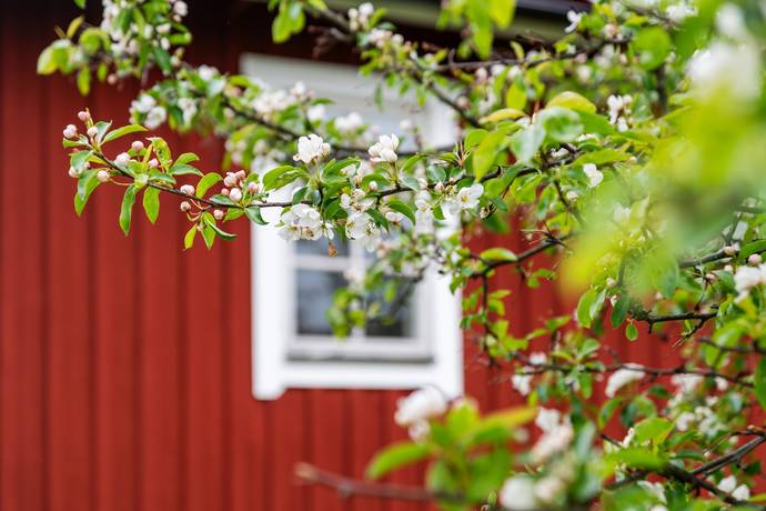 Gård utan jordbruk på Hattsundsvägen 8 Norrtälje Norrtälje kommun - bild 59
