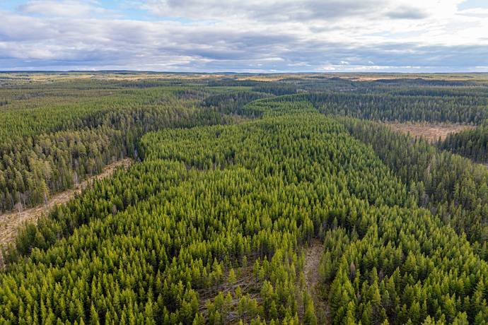 Gård/skog på Nederhögen Bergs kommun - bild 8