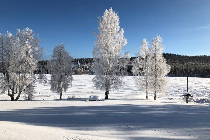 251 m² Gård/skog på Tansjärv Udden 1 Överkalix Överkalix kommun - bild 35