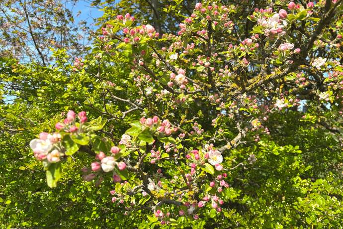 5 rum Gård/skog på Tunby 3206 Tomelilla kommun - bild 24