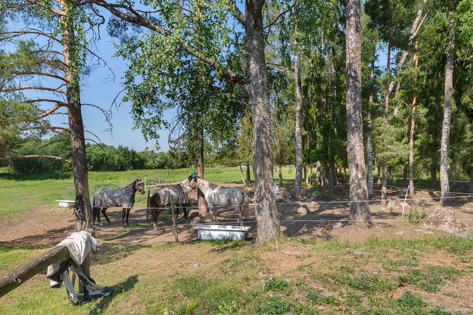 4 rum Gård/skog på Vattholma Vargdansen 216 Vattholma Uppsala kommun - bild 23