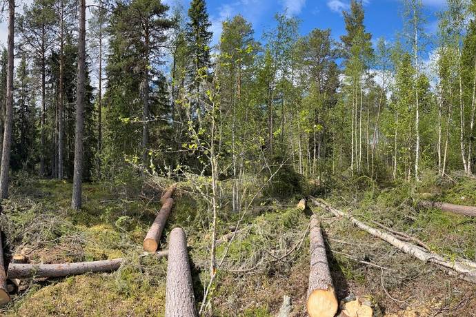 Tomt på Heavägen tomt 5:7 Särnaheden Älvdalens kommun - bild 10