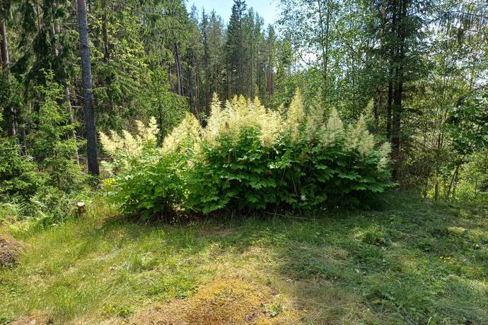 3 rum Fritidshus på Gusselhyttan 482 Gusselhyttan Lindesbergs kommun - bild 9