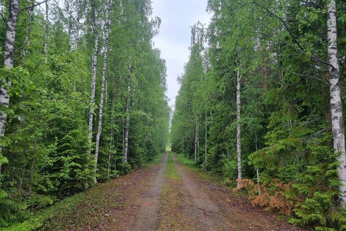 Lövånger, Skellefteå kommun