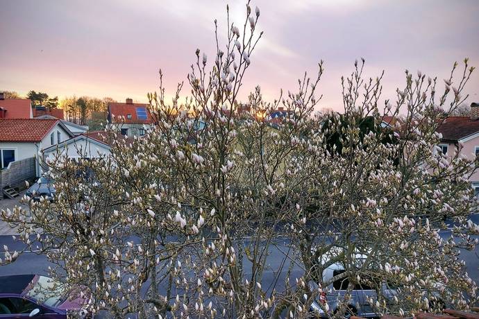 6 rum Radhus på Mossgatan 15 Simrishamn - Joneberg Simrishamns kommun - bild 53