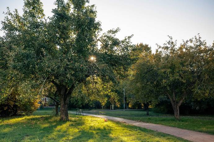 2 rum Lägenhet på Fyrisvallsgatan 2D Seminariet i Luthagen Uppsala kommun - bild 20