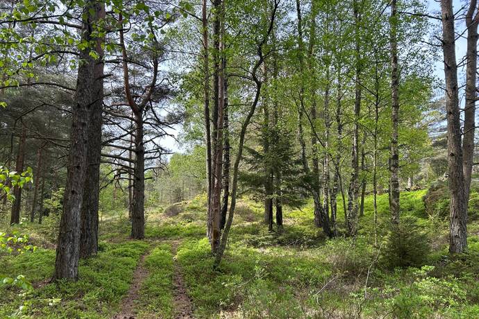 4 rum gård utan jordbruk på Stale 315 Bokenäs, Uddevalla kommun - bild 2