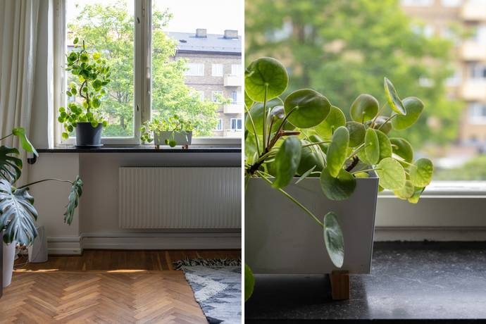 2 rum Lägenhet på Karlskronaplan 6 S:t Knut Malmö kommun - bild 10