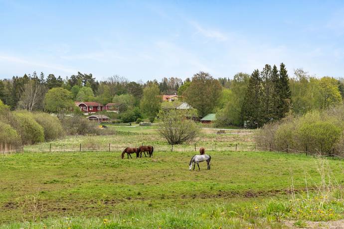 Gård utan jordbruk på Hattsundsvägen 8 Norrtälje Norrtälje kommun - bild 45