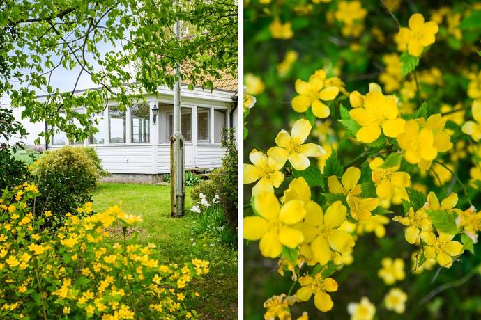 5 rum Gård utan jordbruk på Viarpsvägen 49 Mellan Simris och Viarp Simrishamns kommun - bild 11