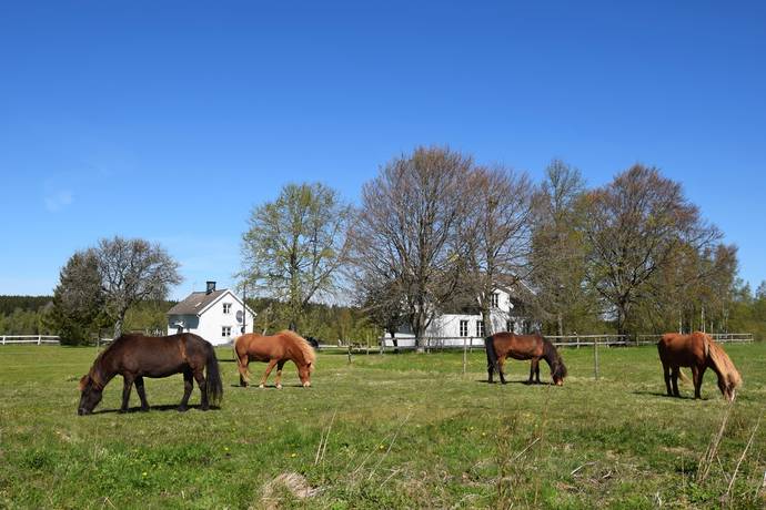 10 rum Gård/skog på Baggekulla 101, 102, 103, 104 Västergötland Ulricehamns kommun - bild 9