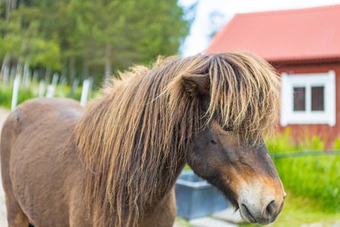 4 rum Gård/skog på Norra Järpetan 432 Norra Järpetan Karlstads kommun - bild 28
