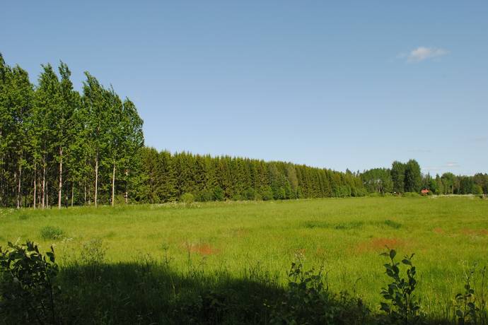 Gård med skogsbruk på Skärsjö 168 och 170 Skärsjö Heby kommun - bild 73