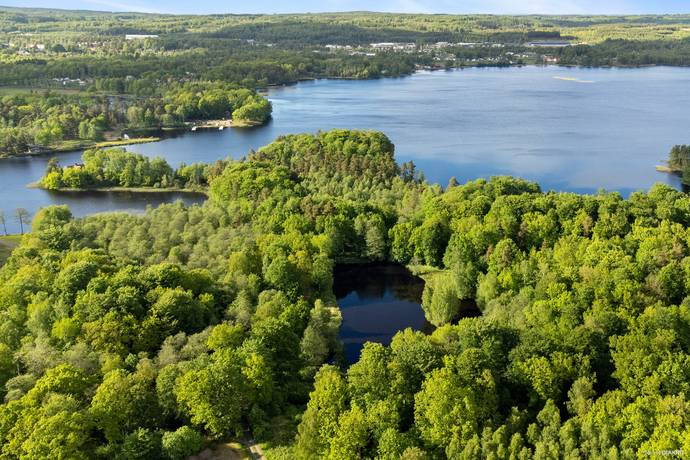 gård/skog på Östra Ringarp 12:16 Örkelljunga, Örkelljunga kommun - bild 3