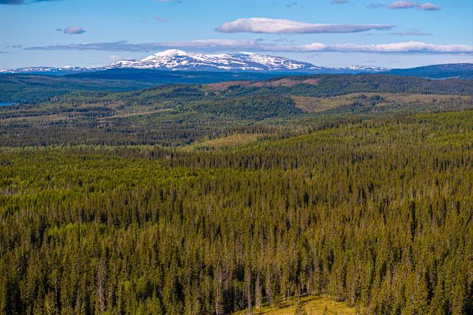 gård/skog på Jäppsta Offerdal, Krokoms kommun - bild 1