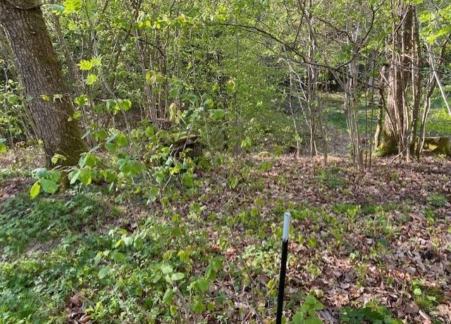 Tomt på Enevägen 9 Karlarp Höörs kommun - bild 3