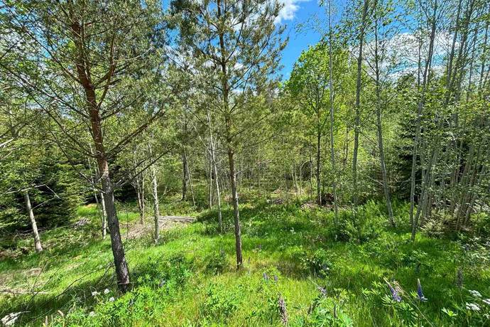 Gård utan jordbruk på Hällahester 1 Hällahester, Eksjö Eksjö kommun - bild 82