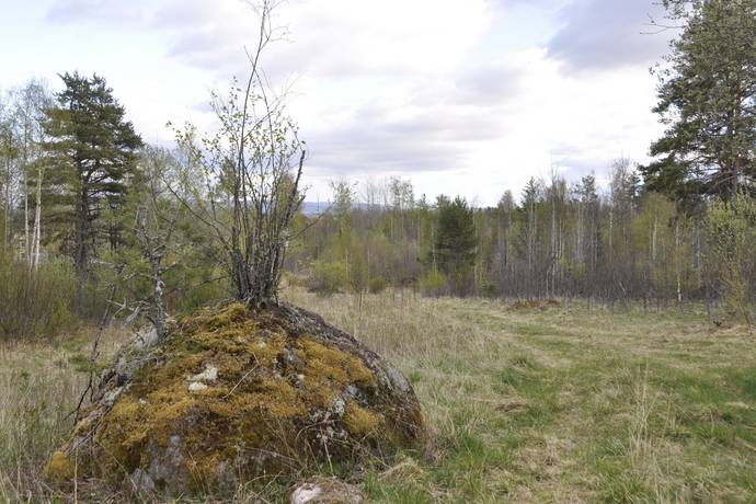Gård utan jordbruk på Glissjöberg 435 Glissjöberg Härjedalens kommun - bild 58