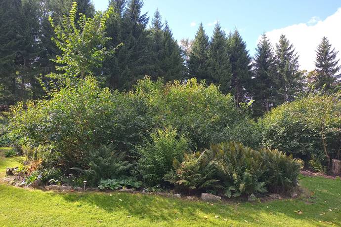 4 rum Fritidshus på Kungslena Smedsgården Kungslena Tidaholms kommun - bild 42