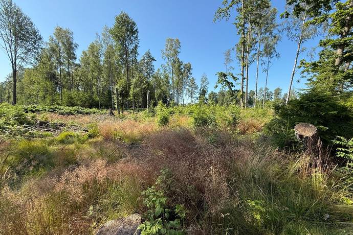 tomt på Stockenäs 1:33  Mellerud, Melleruds kommun - bild 2