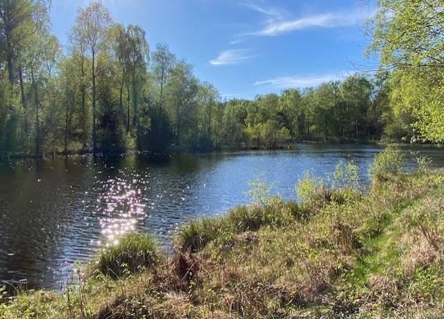 Tomt på Enevägen 9 Karlarp Höörs kommun - bild 5