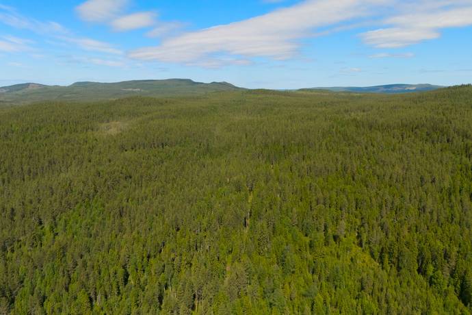 Gård/skog på Ytterberg 431 Ytterberg Härjedalens kommun - bild 12