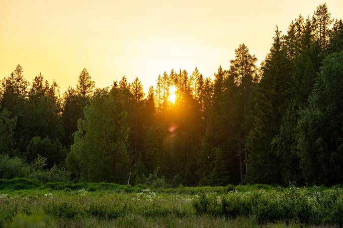 gård/skog på Brattbäcken Hoting, Strömsunds kommun - bild 1