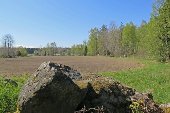 Gård/skog på Norrlövsta Östhammars kommun - bild 4