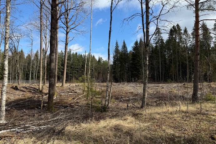 Tomt på Grava-Rud 888 Rudskogen Karlstads kommun - bild 13